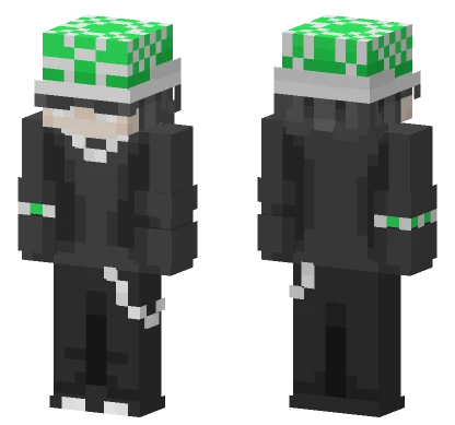 Turtle Hat Minecraft skin