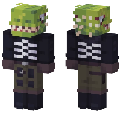 Welcome To Chaos Minecraft skin