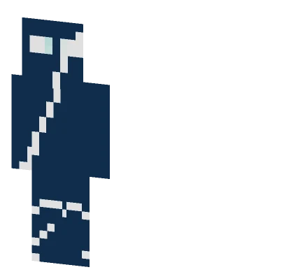 Why Minecraft skin